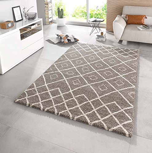 Mint Rugs 102579_160x230 Design Deep-Pile Teppich Maison, Kunstfaser, Taupe/Creme, 230 x 160 x 2 cm von Mint Rugs