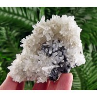Bergkristall Mit Sphalerit Und Pyrit | Quarz Kristall Quarzstein Weißer Rohquarz von Minterest
