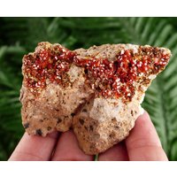 Seltene Top-Qualität Rot Vanadinit Aus Marokko, Kristall, Mineral, Natürliche Rohen Kristallen, Rote Kristalle von Minterest