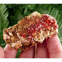 Seltene Top-Qualität Rot Vanadinit Aus Marokko, Kristall, Mineral, Natürliche Rohen Kristallen, Rote Kristalle von Minterest