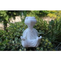 Schildkröte in Yoga Pose von MinzaMinza