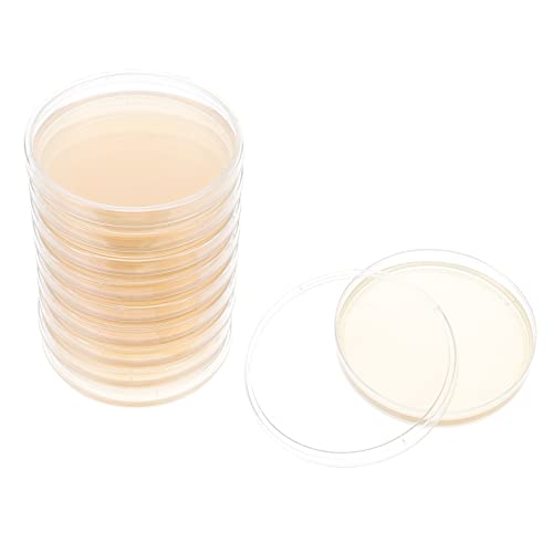 Mipcase Makenbreak Junior 10 Stücke Vorgegossen Agar Platten Transparent Petrischale Biologische Bestimmen von ?ten mit Deckeln für Schullabors Wissenschaft Kunstprojekte Petri Dish von Mipcase