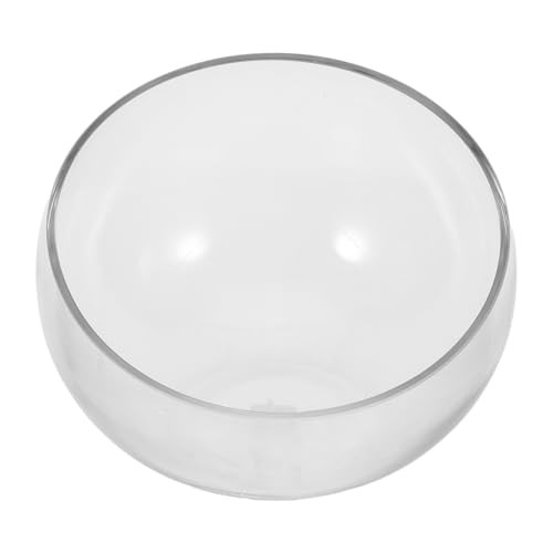 Mipcase Klarsicht Glas Blumentopf Halbkreis Hydroponik Vase Für Sukkulenten Und Kleine Pflanzen Elegante Dekorative Lösung Für Fensterbänke Und Schreibtische Für Kleine Räume von Mipcase