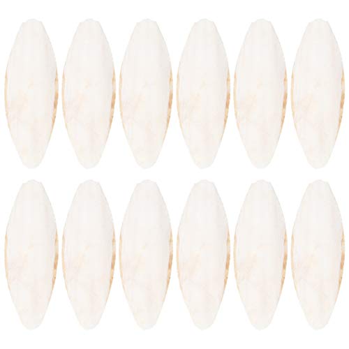 Mipcase Vogelfutter Cuttlebones: Bird Cuttlebone- 12 Stücke Cuttlebone Spielzeug Natürlichen - Knochen für Sittiche Budgien Finches- Kanarische Reptilien Cuttlebone Shell Vogelkäfig Mipcase Vogelfutter Cuttlebones: Bird Cuttlebone- 12 Stücke Cuttlebone Spielzeug Natürlichen - Knochen für Sittiche Budgien Finches- Kanarische Reptilien Cuttlebone Shell Vogelkäfig von Mipcase
