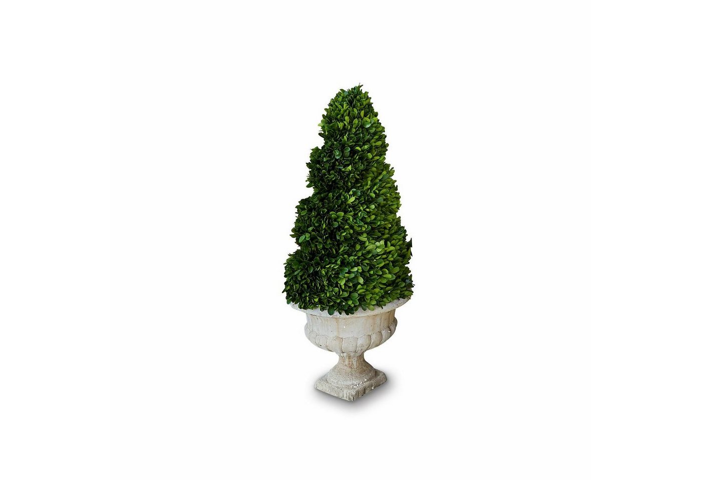 Kunstblume Deko-Baum Humbria grün/creme, Mirabeau, Höhe 75.0 cm von Mirabeau