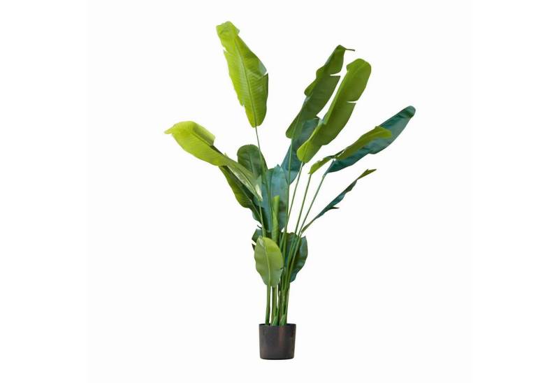 Kunstblume Deko-Pflanze Lennidas dunkelgrün, Mirabeau, Höhe 186.0 cm von Mirabeau