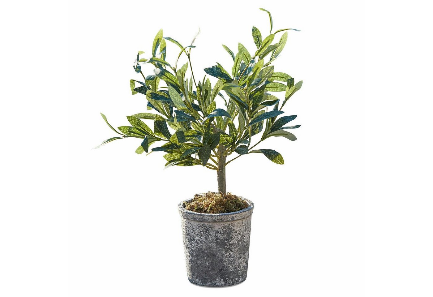Kunstblume Deko-Topfpflanze Mariuccia grün, Mirabeau, Höhe 45.0 cm von Mirabeau