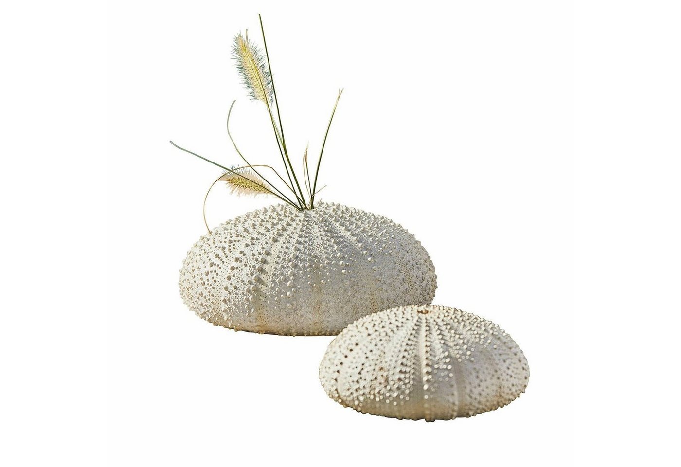 Mirabeau Gartenfigur Deko-Seeigel 2er Set Kimbar antikweiß von Mirabeau