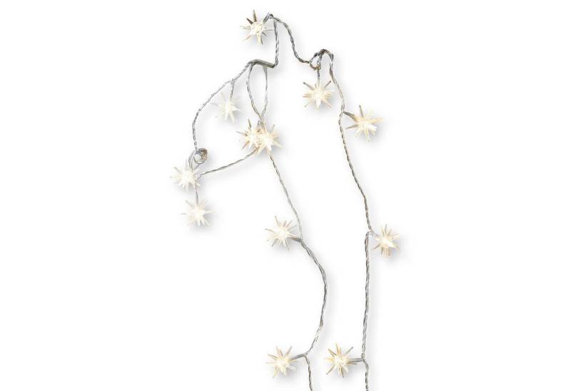 Mirabeau Lichterkette Lichterkette Nelisse weiß von Mirabeau