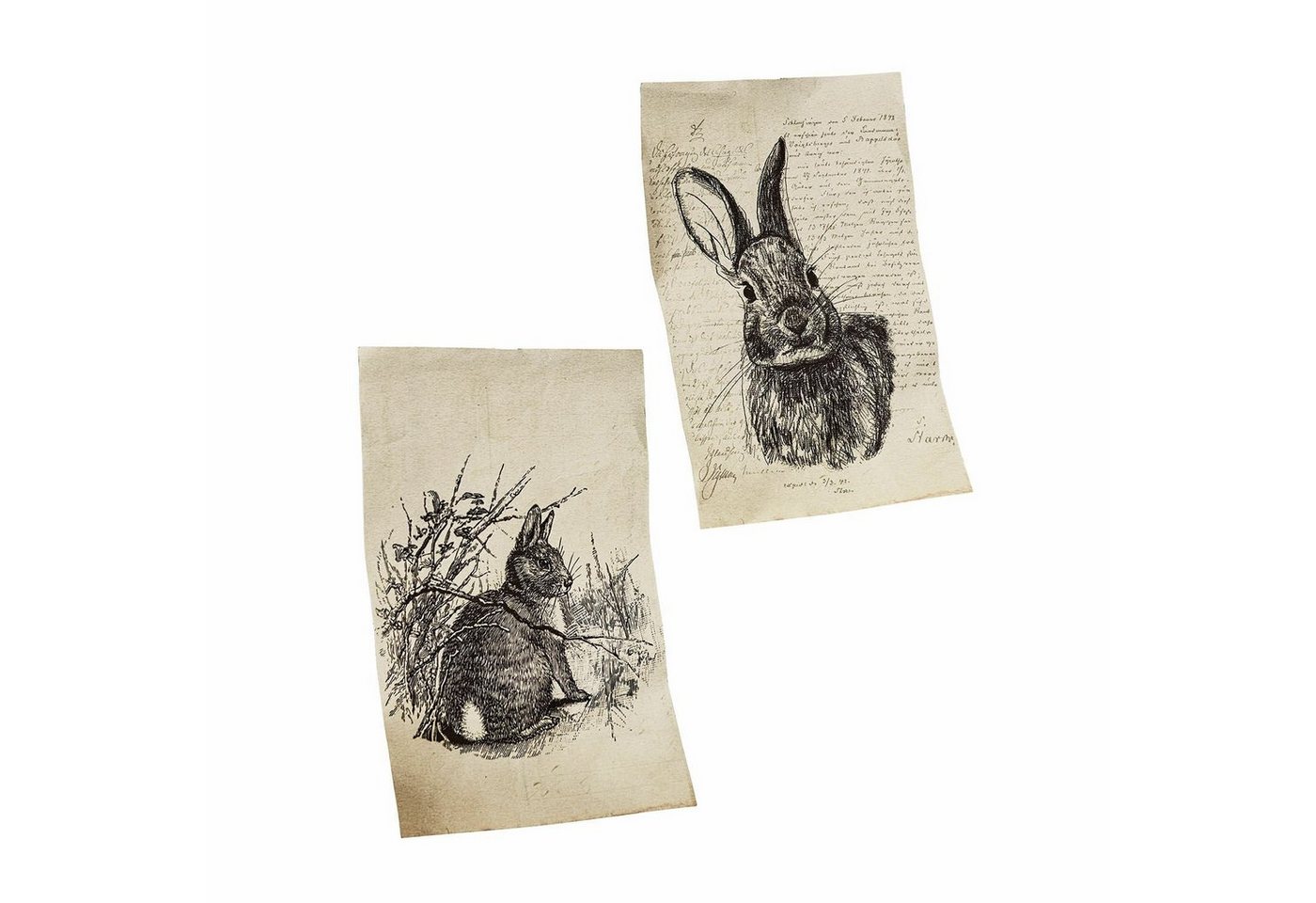 Mirabeau Osterhase Bild 2er Set Meursault beige von Mirabeau