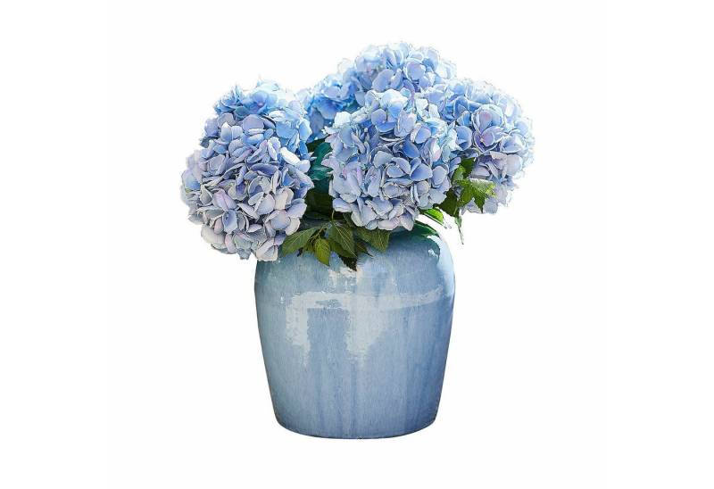 Mirabeau Tischvase Vase Uxemir blau von Mirabeau