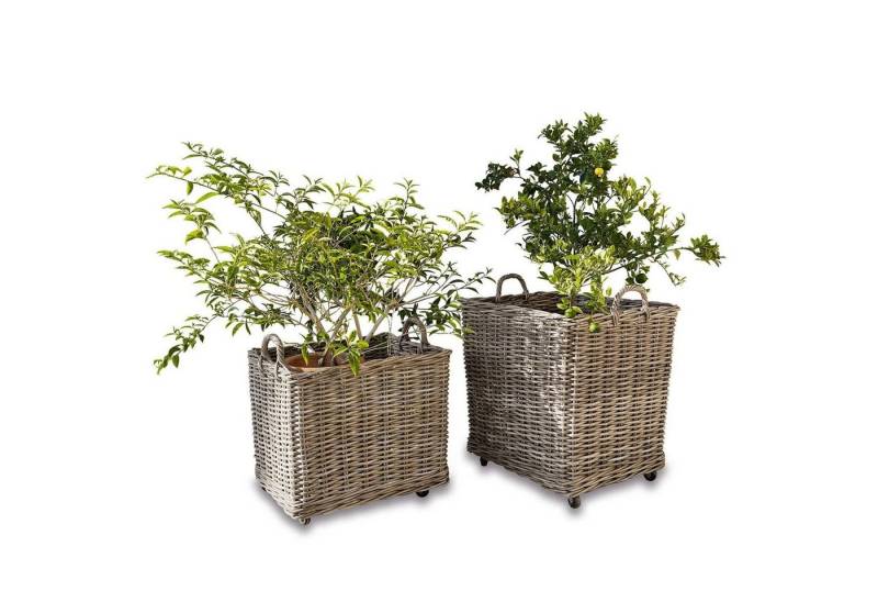 Mirabeau Übertopf Pflanzkorb 2er Set Gialousa braun von Mirabeau