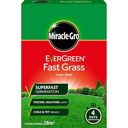 Miracle-Gro 119619 Evergreen Fast Grassamen 840 g – 28 m² von Miracle-Gro