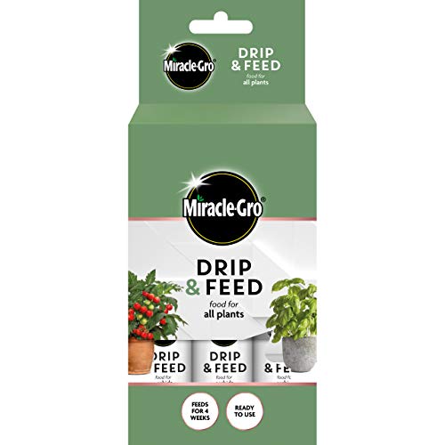 Miracle-Gro 119901 Drip & Feed Allzweckfutter Dünger für Zimmerpflanzen, 3 Stück von Miracle-Gro