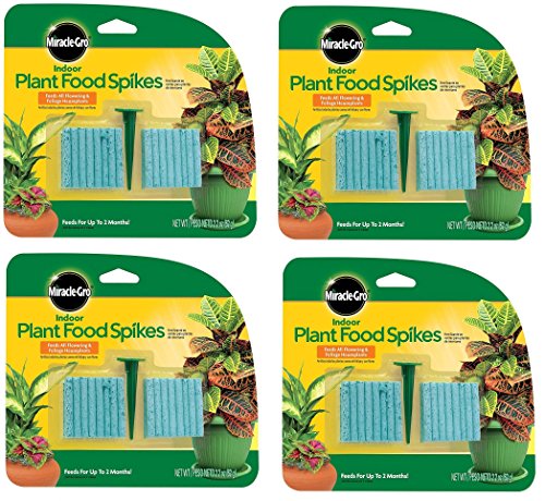Miracle-Gro 300157 Indoor Plant Food Spikes, pgdbhd Dünger Spikes, 4 Pack (65 g) von Miracle-Gro
