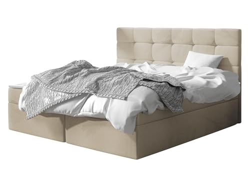 Mirjan24 Boxspringbett Gazel mit 2 Bettkasten, Bonell-Matratze und Topperr, Continentalbett, Polsterbett, Amerikanisches Bett, Ehebett, gepolstertes Kopfteil (Manila 02, 160 x 200 cm) von Mirjan24
