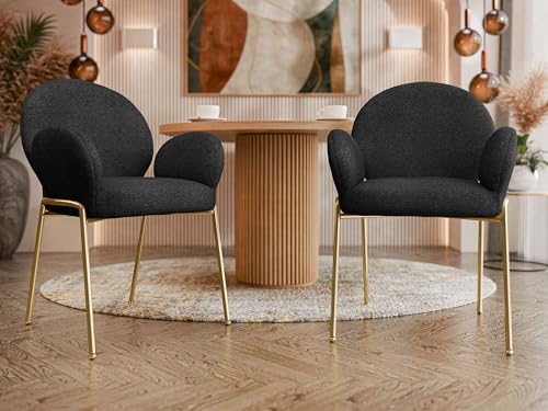 Mirjan24 Polsterstuhl MUZ DC/1261/GL, 2er Set Esszimmerstühle, Beine aus Metall Gold, Gepolsterte Sitzfläche und Lehne, Stuhl für Arbeitszimmer, Esszimmer, Küchenstuhl (Schwarz - AR99) von Mirjan24