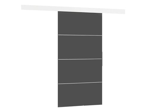 Mirjan24 Schiebetürsystem Multi Plus Komplett-Set für Schiebetüren Trennwände, Innentüren (Graphit, Modell 100, mit Selbstschließer.) von Mirjan24