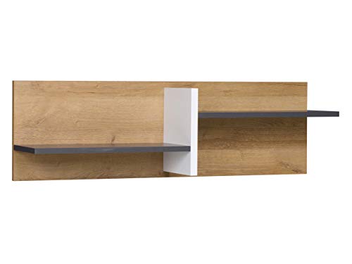 Mirjan24 Wandregal Memone TM01 Praktische Buchregal Kinderzimmer Wandboard Hängeregal Regal Farbauswahl Jugendzimmer (Eiche Gold/Graphit) von Mirjan24