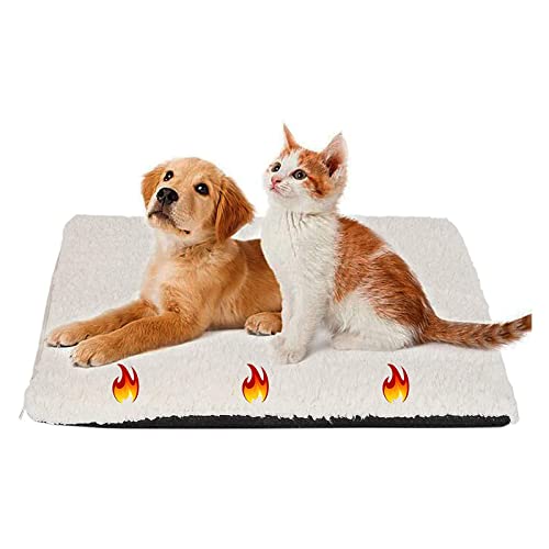Mirweon Katzenbett-Matten, rutschfest, Heizung, faltbares Kissen für kleine Hunde, thermisch für große Hunde, Fußböden, waschbar Mirweon Katzenbett-Matten, rutschfest, Heizung, faltbares Kissen für kleine Hunde, thermisch für große Hunde, Fußböden, waschbar von Mirweon