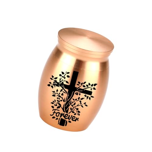 Mirweon Simple Casket Asche Gefäß Asche für Haustierurne Schnitzereien Gedenkstätte kleines Glas Urne Behälter Sympathie Haustier Verlust von Mirweon