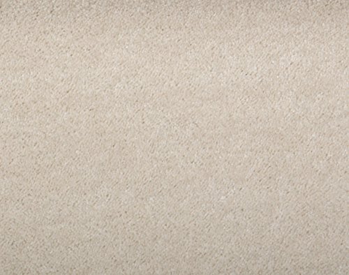 Teppichboden Shaggy Hochflorteppich Bodenbelag Auslegware Uni hellbeige 200 x 400 cm. Weitere Farben und Größen verfügbar von Misento