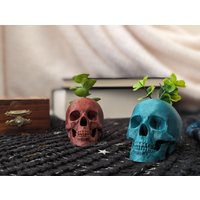 Miniatur-Schädel-Übertopf Mit Kunstpflanze von MisfitGeekGifts