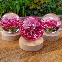 Rosa Nelke Resin Kugel Mit Hellem Sockel | Handgemachtes Craft Echter Im Inneren - Home Décor Nachtlicht, Akzentbeleuchtung von MishelayDesigns