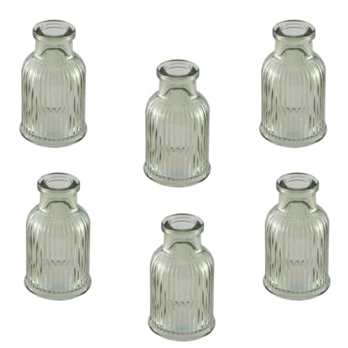 Mini Vase (6 STK.) Blumenväschen für die Tisch-Deko zur Hochzeit Taufe Konfirmation & Kommunion aus Glas Farbe: Salbei Grün Höhe 7,4cm von Miss Lovely