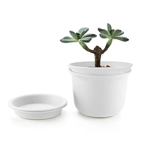 MissFox Blumentopf 21.3cm Durchmesser 2er Set, Pflanztöpfe Kunststoff mit Untersetzer, Kleine Blumentöpfe mit Ablauflöchern, Pflanzkübel Rund für Innen und Draußen Pflanzen Sukkulenten Kaktus von MissFox