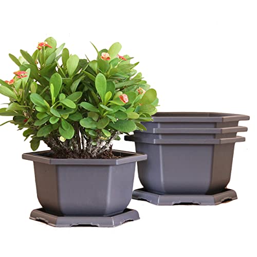 MissFox Bonsai Schale 4 Stücke Plastik Blumentopf mit Untersetzer Sechseckiges Bonsai Topf aus Kunststoff Bonsai Trainingstöpfe Kit für Garten Wohnzimmer Büro (25x15cm) von MissFox