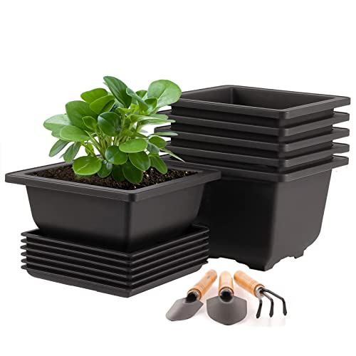 MissFox Bonsai Schale mit Untersetzer, 6 Stücke Blumentopf Eckig mit Tablett und Mini Gartenwerkzeug Set, 12x12x6cm Bonsaischale Kunststoff Pflanztöpfe für Innen- und Außenbereich von MissFox