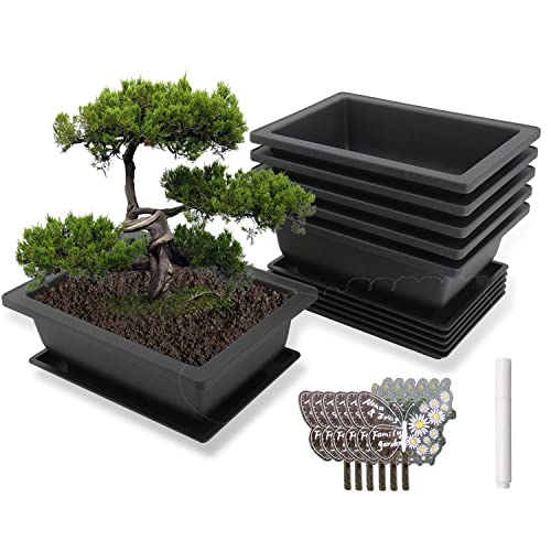 MissFox Bonsai Schale mit Untersetzer, 6 Stücke Bonsai-Trainingstöpfe aus Kunststoff, Blumentopf Rechteckig mit Tablett, Topfpflanzen Pflanztopf für Garten, Bonsai Topf mit Pflanzenschilder und Stift von MissFox