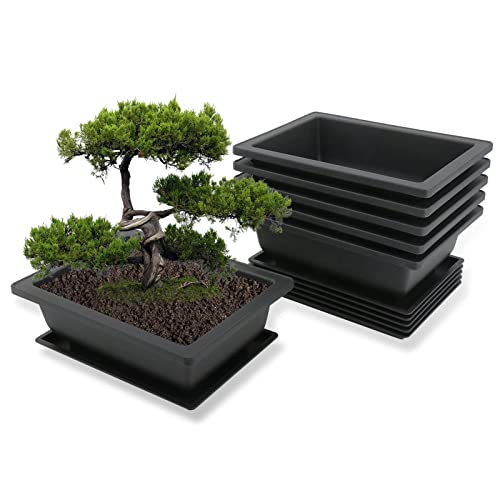 MissFox Bonsai Schale mit Untersetzer, Blumentopf Rechteckig aus Kunststoff, Bonsai Topf Set Pflanztopf für Garten, 6 Stücke Blumentöpfe Groß mit Tablett, 16x12x6cm von MissFox