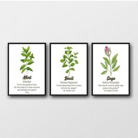 3Er Set Kräuterdrucke - Ideales Geschenk Für Koch 3Er Set Kräuterdrucke - Ideales Geschenk Für Koch von MissPicklePrints