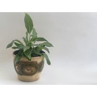 Retro Planter Midcentury Fat Lava Übertopf 70Er Jahre West Germany Scheurich 887-18 von MissVintageGermany
