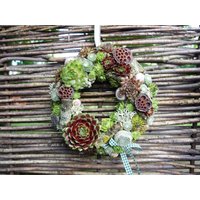 Türkränze Herbst Sukkulentenkränze Türdeko Türkranz Sukkulenten Herbstkranz Natürlich Herbstkränze Rustikal Sukkulentenkranz Türkränze Herbst Sukkulentenkränze Türdeko Türkranz Sukkulenten Herbstkranz Natürlich Herbstkränze Rustikal Sukkulentenkranz von Missbellflowerblume