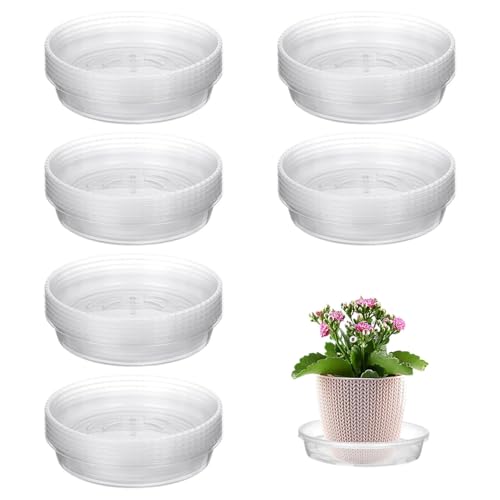 30 Stück Blumentopf Untersetzer Klare Pflanzen Untersetzer Transparent Topfuntersetzer Pflanzenschalen Für Töpfe Drinnen Draußen Dicker Klarer Blumentopf Basis Rund Blumen Tropfschale Für Gärten von Missmisq