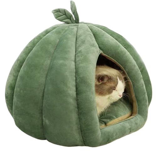 Katzenhöhle Halloween Katzenbett Indoor Haustier Nest Kürbisse Katzenhaus Katzenbetthöhle Warmes Katzenbett Waschbar Mit Abnehmbarem Kissen Kürbisform Haustierbett Für Hunde Und Katzen Katzenhöhle Halloween Katzenbett Indoor Haustier Nest Kürbisse Katzenhaus Katzenbetthöhle Warmes Katzenbett Waschbar Mit Abnehmbarem Kissen Kürbisform Haustierbett Für Hunde Und Katzen von Missmisq