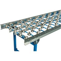 Allseiten-Röllchenbahn, LxB 1.000 x 600 mm, Teilung 100 mm Allseiten-Röllchenbahn, LxB 1.000 x 600 mm, Teilung 100 mm von Jungheinrich PROFISHOP