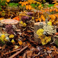 Holzkerzen Herbst Edition Designkerzen Herbstdeko Tischdeko Naturholz Holzarbeiten Nachhaltig Umweltfreundlich von MitHolzArbeiten