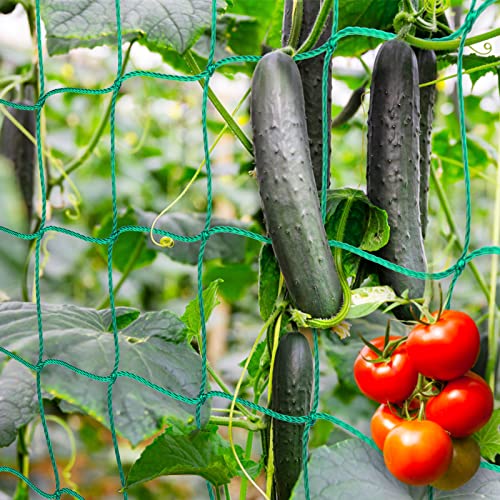 Premium Ranknetz 2,5 x 2m mit 30 Pflanzenclips, Rankhilfen für den perfekten Wachstum von Tomaten, Gurken und Kletterpflanzen Das Optimale Rankhilfe Netz für Garten und Gewächshaus, Maschnweite (10cm) von Miuezuth