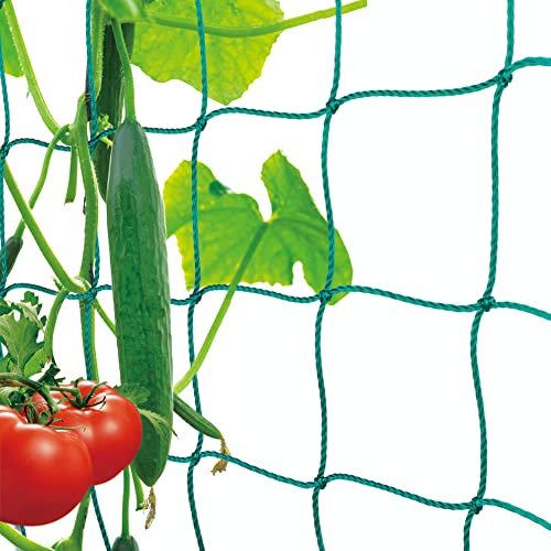 Premium Ranknetz mit großer Maschenweite für den perfekten Wachstum von Tomaten, Gurken und Kletterpflanzen Das Optimale Rankhilfe Netz für Garten und Gewächshaus - Maschnweite (10cm), Größe: 2,5 x 2m von Miuezuth