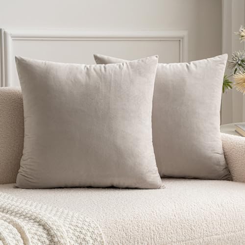 MIULEE Set mit 2 Kissenbezügen aus Samt, dekorativ, für Sofa, Kissenbezug, glatt, weich, bequem, Dekoration für Haus, Wohnzimmer, Schlafzimmer, für Sofa, 40 x 40 cm, Champagner MIULEE Set mit 2 Kissenbezügen aus Samt, dekorativ, für Sofa, Kissenbezug, glatt, weich, bequem, Dekoration für Haus, Wohnzimmer, Schlafzimmer, für Sofa, 40 x 40 cm, Champagner von MIULEE