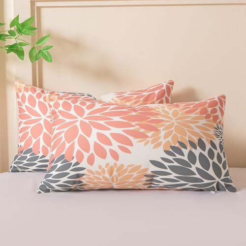 Miuyunya Samt Kissenbezüge Altrosa 50x30 Kissenhülle Rosa Grau 2er Set Sofakissen Samtkissen Dekorative Kissenbezug Moderne Weich Lendenkissen für Wohnzimmer Herbst Frühling Kissen Deko Miuyunya Samt Kissenbezüge Altrosa 50x30 Kissenhülle Rosa Grau 2er Set Sofakissen Samtkissen Dekorative Kissenbezug Moderne Weich Lendenkissen für Wohnzimmer Herbst Frühling Kissen Deko von Miuyunya
