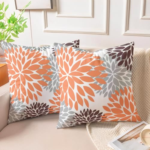 Miuyunya Samt Kissenbezüge Braun 50x50 Kissenhülle Taupe Grau 2er Set Sofakissen Samtkissen Dekorative Moderne Weich Zierkissenbezüge Square für Wohnzimmer Herbst Winter Couchkissen Deko von Miuyunya