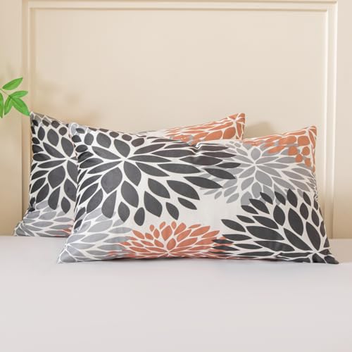 Miuyunya Samt Kissenbezüge Schwarz Beige 50x30 Kissenhülle Grau 2er Set Sofakissen Samtkissen Dekorative Kissenbezug Moderne Weich Lendenkissen für Wohnzimmer Schlafzimmer Couchkissen Deko von Miuyunya