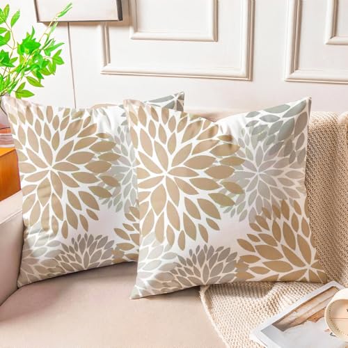 Miuyunya Samt Kissenbezug Beige 40x40 Kissenhülle Grau Braun 2er Set Sofakissen Samtkissen Dekorative Moderne Zierkissenbezüge Square für Sofa Wohnzimmer Schlafzimmer Couchkissen Deko von Miuyunya