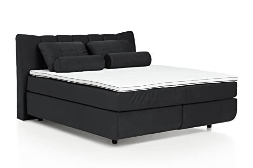 Mivano Free Boxspringbett/Bett mit 7-Zonen-Taschenfederkern-Matratze und Premium Topper/Härtegrad H3, Velours Cosy Anthrazit, Liegefläche 180 x 200 cm von Mivano