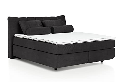 Mivano Free Boxspringbett mit Durchgehender Matratze (H4) und Premium Topper, Mikrofaser All Senses Dunkelbraun, Liegefläche 140 x 200 cm von Mivano